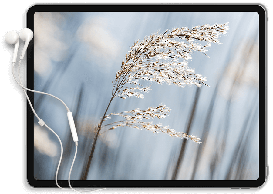 https://cardinalpoint.care/wp-content/uploads/2022/01/Tablet.png